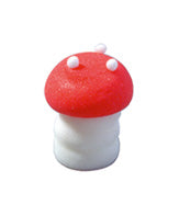 Champignon à mouches