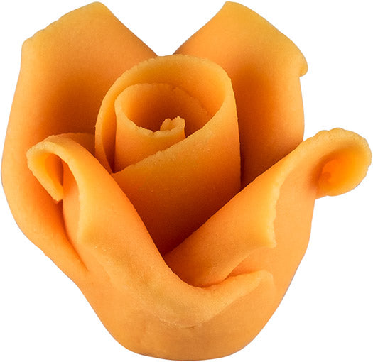 Roses pastel orange big