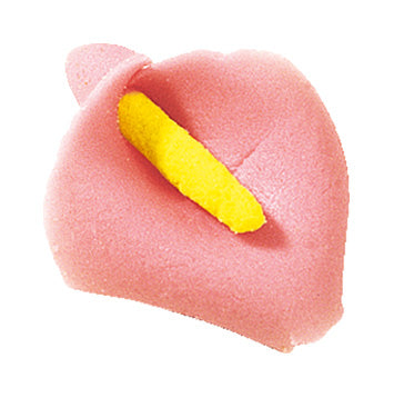 Calla Rosa.